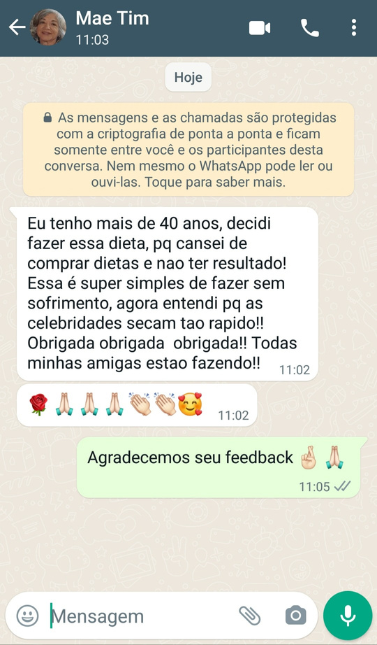 A Dieta Secreta das Celebridades - Perca peso em 30 Dias — imagem 3
